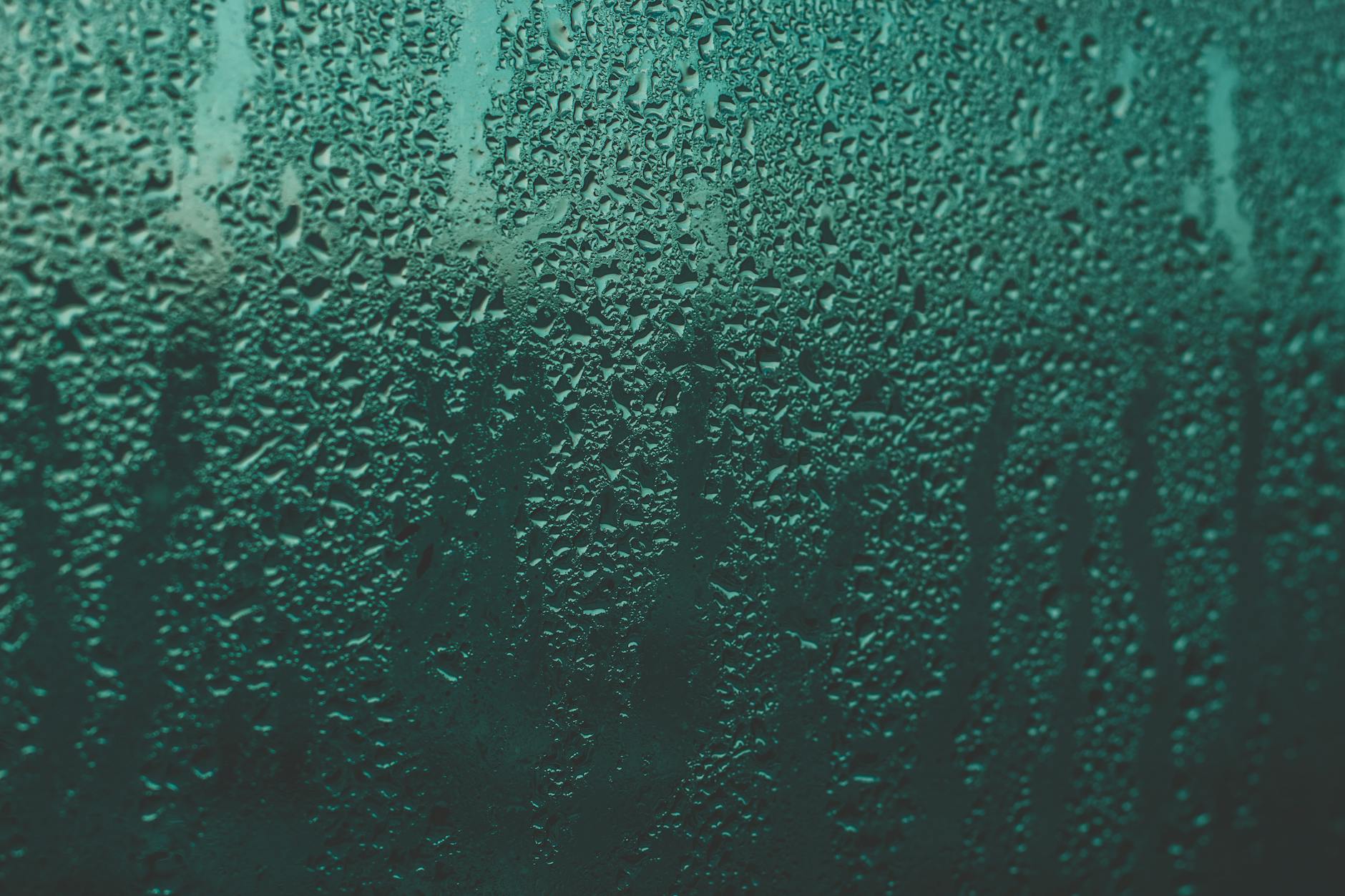 자취방 습기로 빨래가 마르지 않는 문제 5